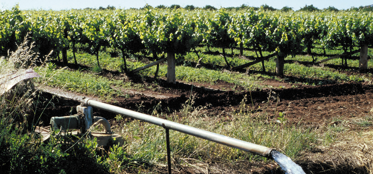 Commercial Vineyard Drainage By MT Plumbing And Drainage In Marlborough NZ